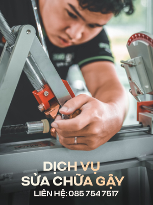 Hình ảnh bộ sưu tập 6